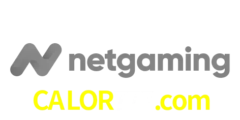 NetGaming